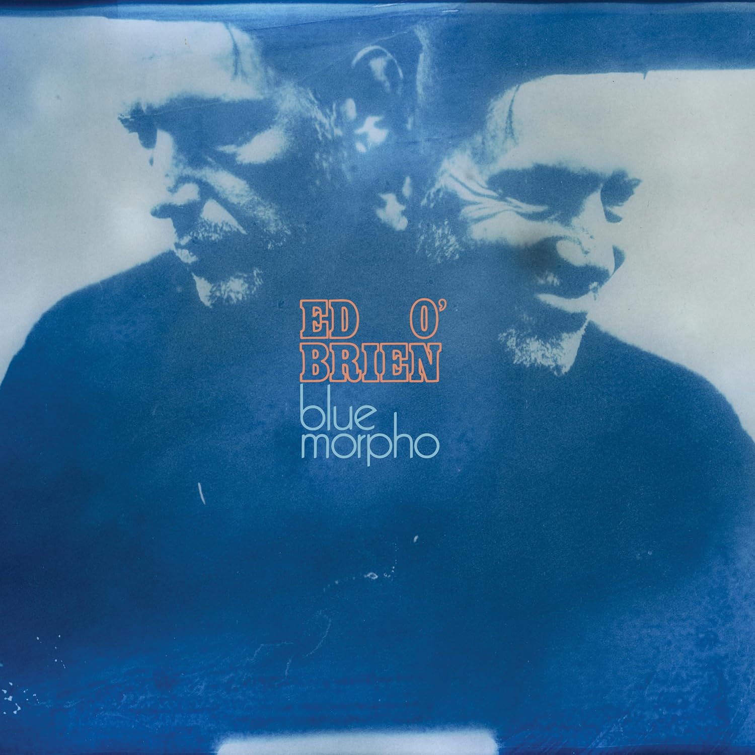 Ed O’Brien - Blue Morpho